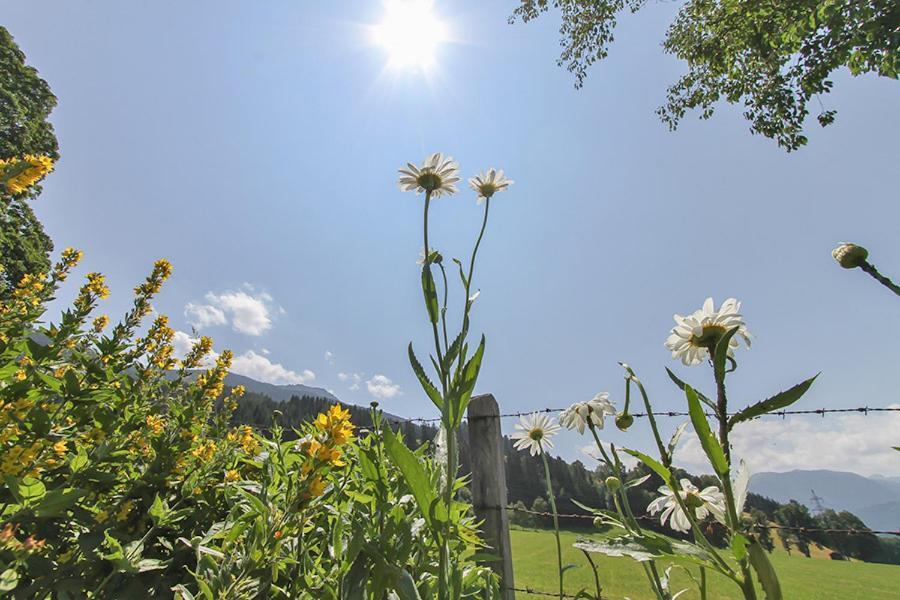 Ferienwohnung Schwalbenwandblick Saalfelden Exterior foto